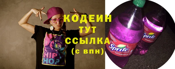 хмурый Горно-Алтайск