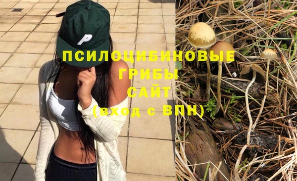 хмурый Горно-Алтайск