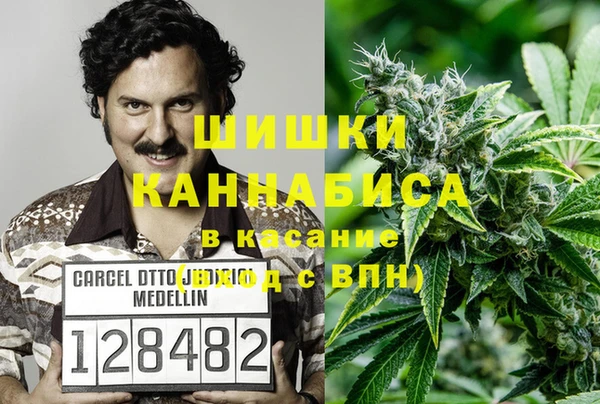 дживик Горнозаводск
