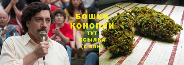 дживик Горнозаводск