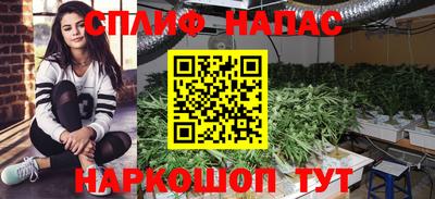 спайс Балахна