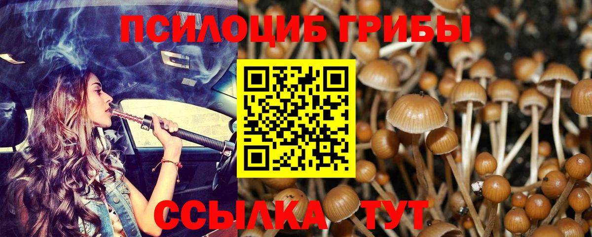 Псилоцибиновые грибы ЛСД Верхняя Салда