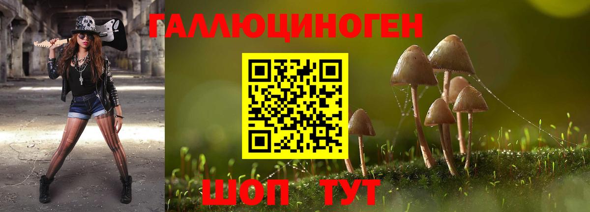 Верхняя Салда  Галлюциногенные грибы GOLDEN TEACHER  Вход с VPN 
